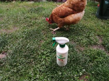 A great natural cleaning spray with a fresh smell