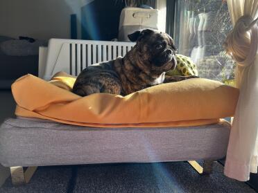 Enjoying the sun from this comfortable space