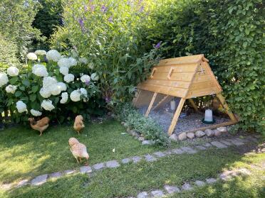 A cosy place for chickens