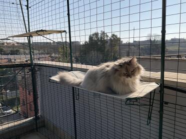 A nice place for a sun bath