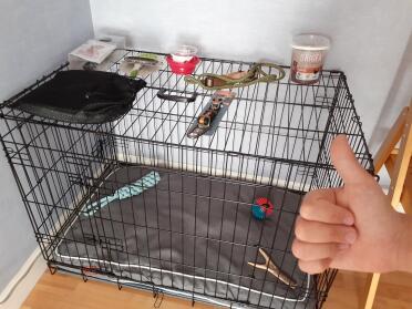 Everything checked for the arrival of the puppy