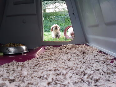 Oooo, sieh dir mein bettzeug an! :)