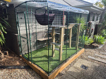 Catio pic2