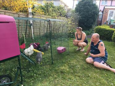 Chicken love