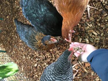 Earning their trust 