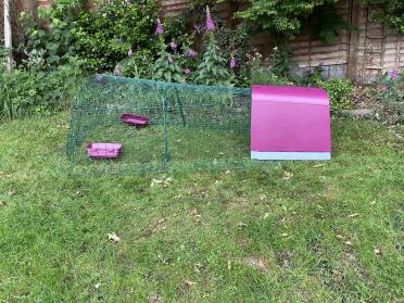 Get a coop that will match your flowers!