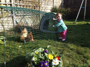 Unsere neuen Pekins mit unserer 10 Monate alten Tochter Lucy