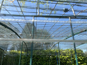 Housse transparente de 3,4 m avec sangles anti-vent sur les longs côtés