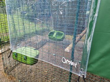 Protect your chickens from rain