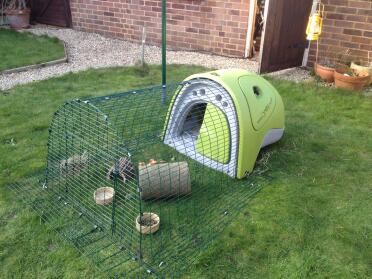 Meerschweinchen neues zuhause