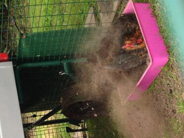 Alice liebt ihr neues bad