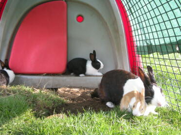 ein schöner Platz zum Sitzen!