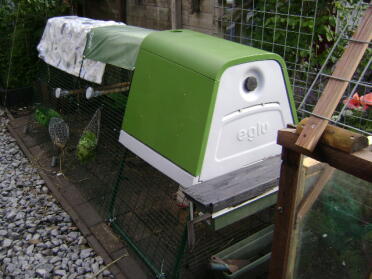 A Eglu chicken coop in a small garden
