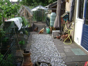 A Eglu chicken coop in a small garden