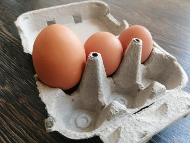 Our first double yolker!