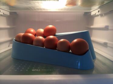 I keep my egg ramp in the fridge - I'm not sure that I need too!