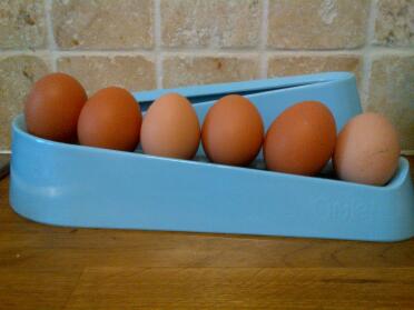 Blue Egg Ramp