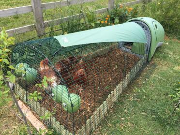 They love their new home!