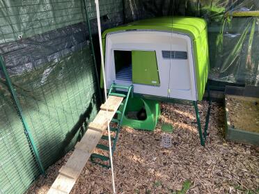 Eglu Cube