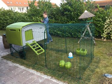 My Eglu Cube