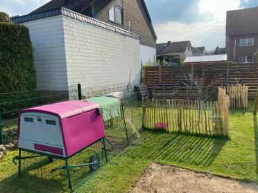 Keep your chickens safe day and night with the Omlet Cube chicken hutch!