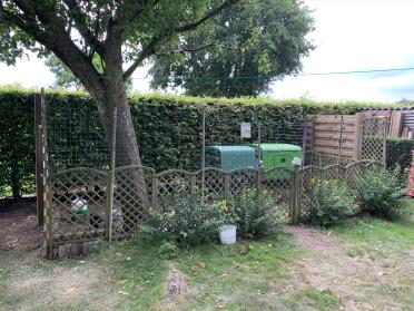 Look how natural the Eglu Cube looks in the garden
