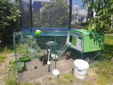 The cube looks great in any garden!