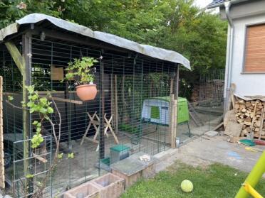 Chickens can be kept in city gardens, not just in the country!