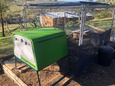 What a happy home for some chickens!
