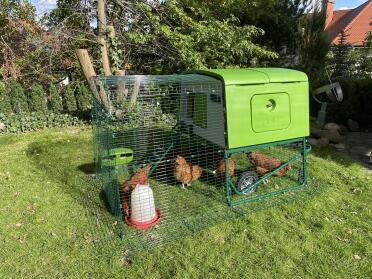 The moveable coop allows chickens to enjoy a fresh patch of grass