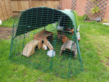 Hutch with 2m run for 3 guinea pigs