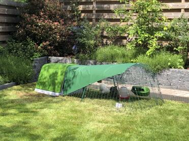 A discreet coop in the greenery of the garden