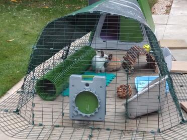 Lots of lovely hay, time to top up again! now cleaning my sister 