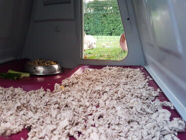 Was für ein zuhause!