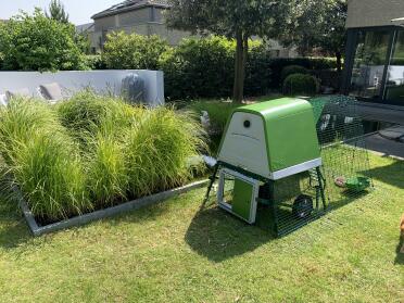 Our automatic coop door can be attached to your run