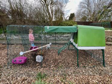 Our bantams love their new raised coop