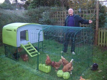 Eglu plus 6 hennen = 1 glücklicher ehemann und hahn