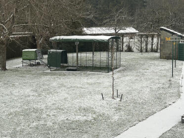 Det eneste, der mangler, er kyllingerne. 