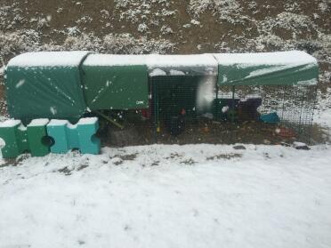 4 metri di recinto per la neve con copertura invernale