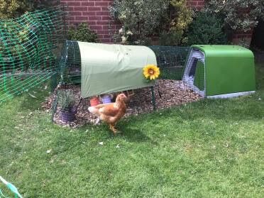 Perfect sun and rain protection 