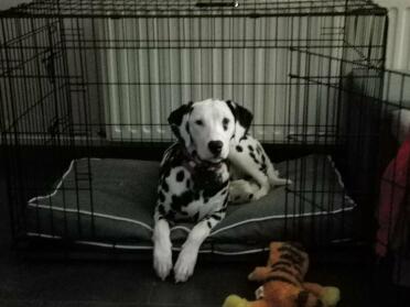 Ich habe gut geschlafen!