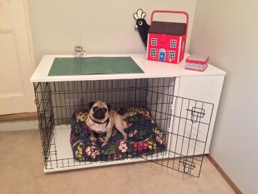 Boris genießt sein neues haus!