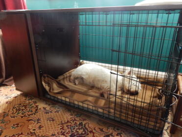 Es entspricht den toby-standards