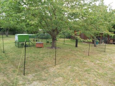 Green Omlet Eglu Cube Large Chicken Coop and Run and Omlet Chicken Fencing