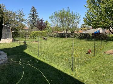 Chicken fencing is great for keeping chickens in your garden.
