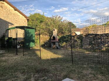 The Eglu Cube is the best way to keep chickens