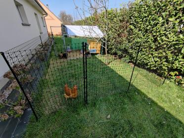 The fencing will protect your flowerbeds from being pecked