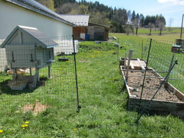 how about making a safe enclosure for your chickens with the chicken fencing.