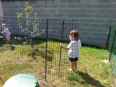 The fencing is light and easy to set up