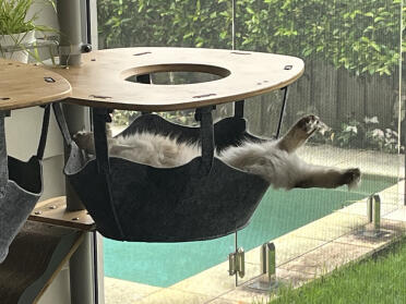 Hammock relax